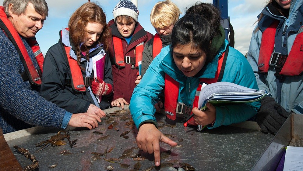 Students on a Marine Biology field trip.