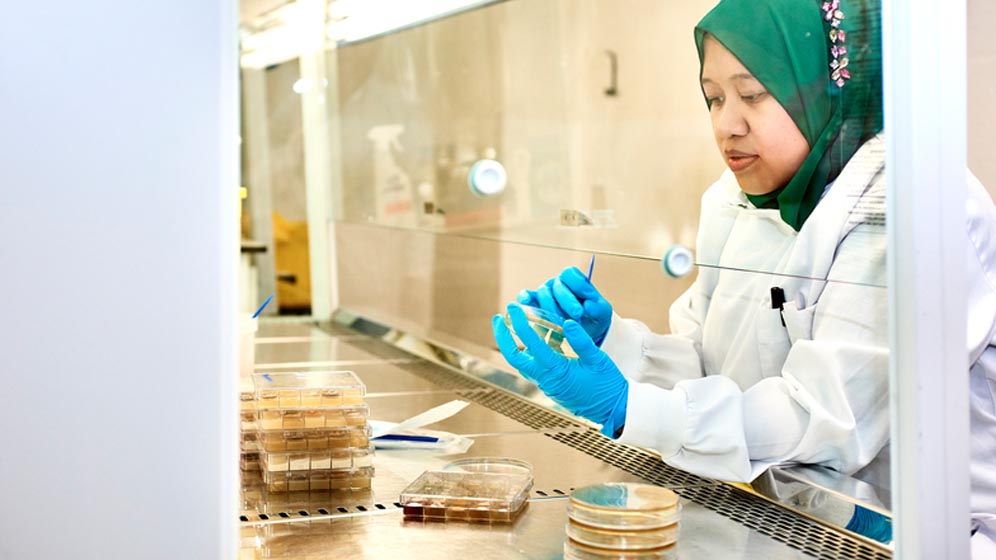 A student working in a biology lab