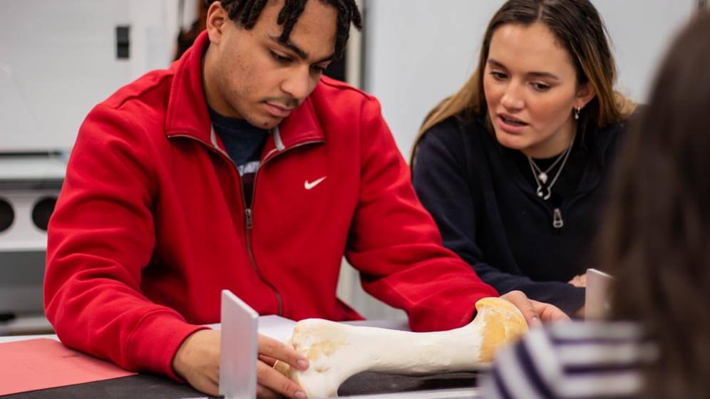 Two students looking at an archaeological collection