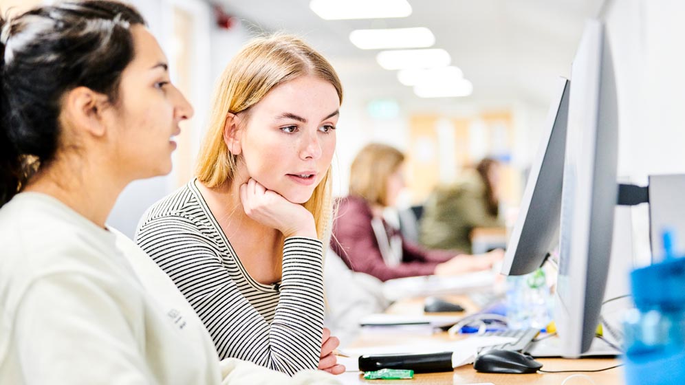 Students in a School computer cluster