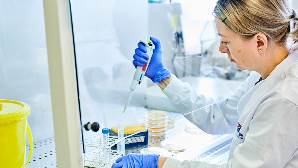 Trainee Dentist working in a lab