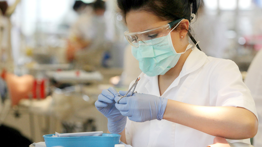 Medical student working in a lab