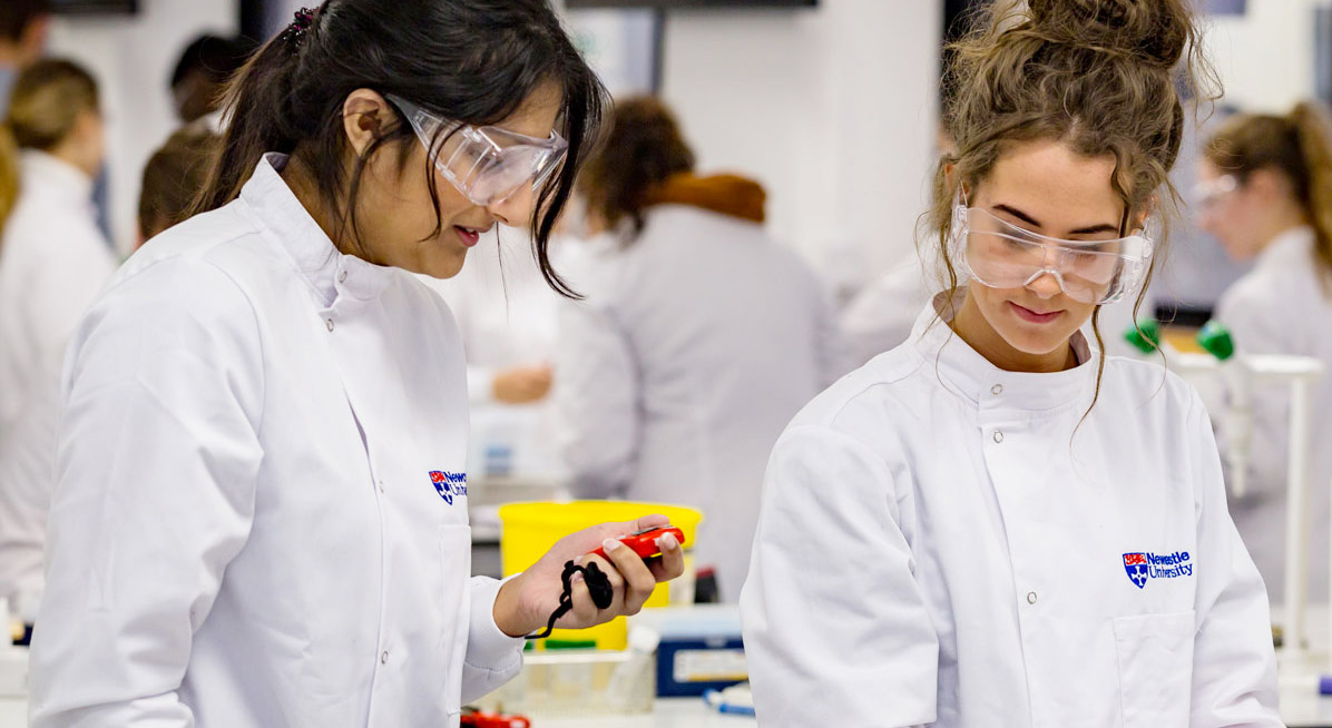 Students working in a lab