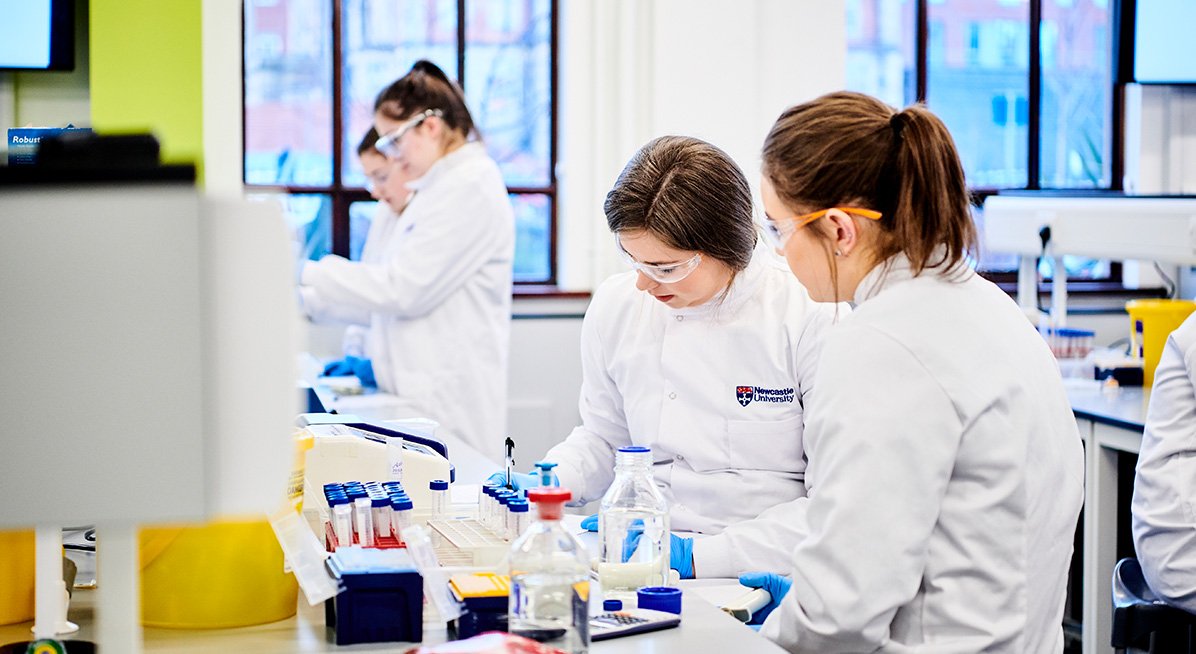 Students working in a lab