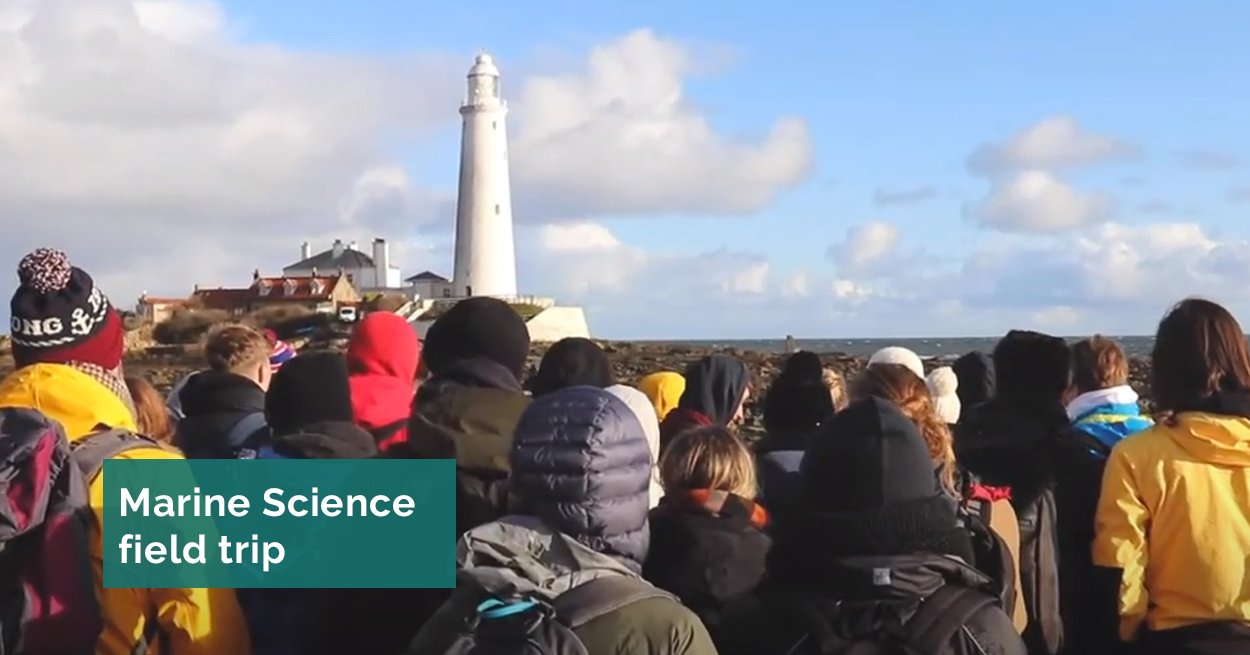 Students looking out to lighthouse