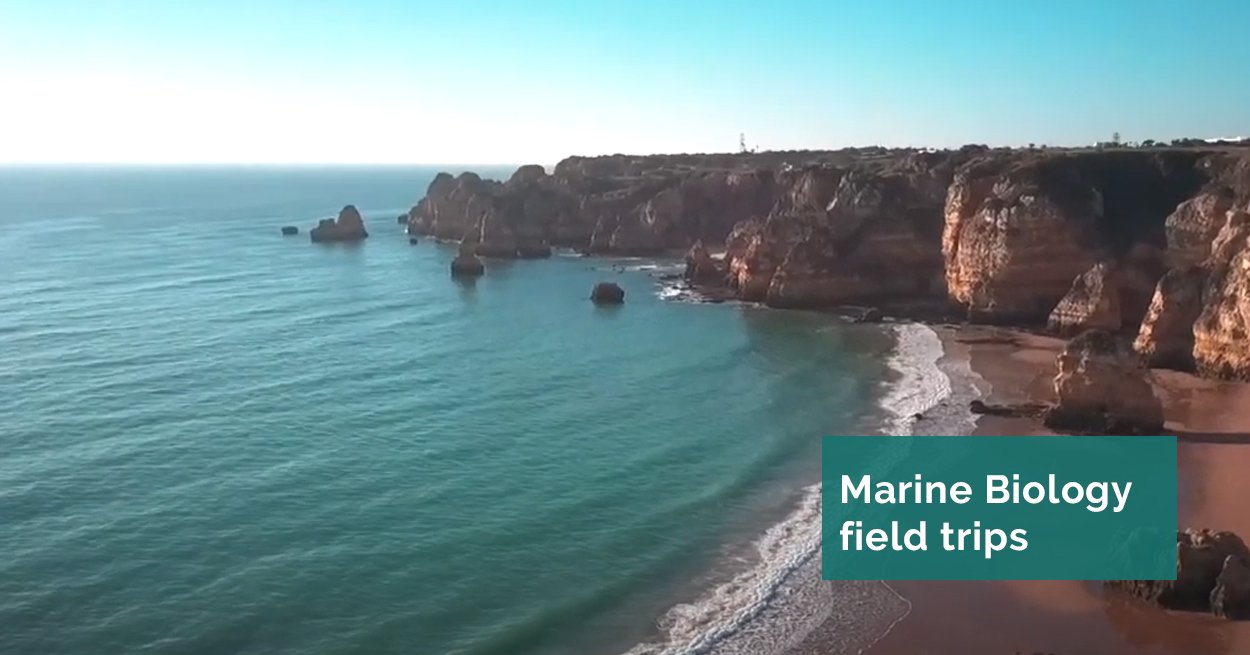Image of the marine coast