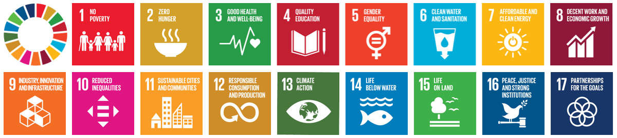 Graphic showing the 17 sustainable development goals
