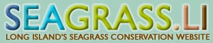 [Seagrass LI logo]