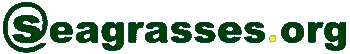 [Seagrasses.org logo]